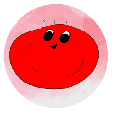 Dobrodružství červené krvinky